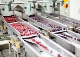 frozen raspberry processing business