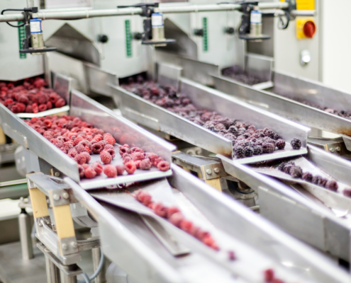 frozen raspberry processing business