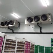 chiller with HFO for food industry